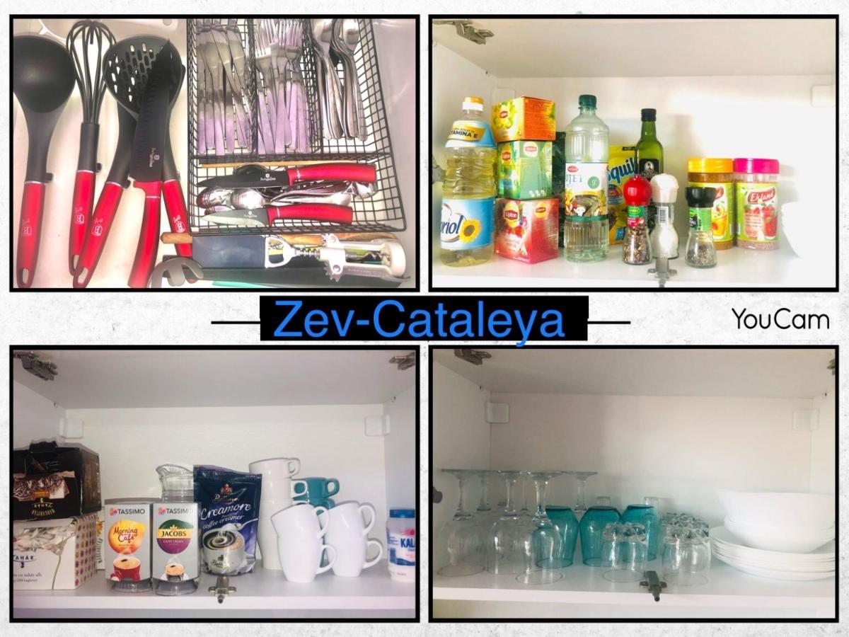 Zev- Cataleya Mamaia Nord Năvodari Exterior foto